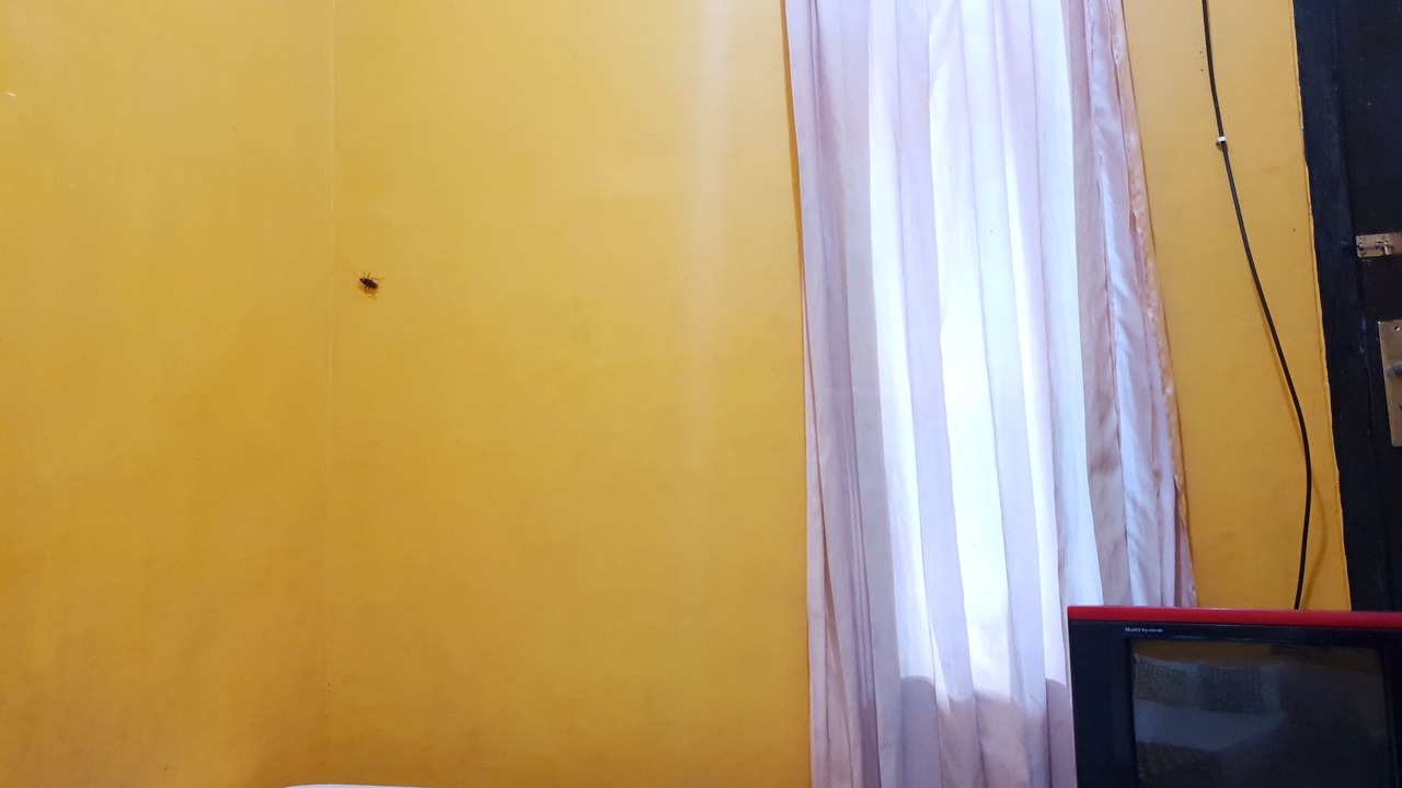 Photo of Bedroom in Banyuwangi