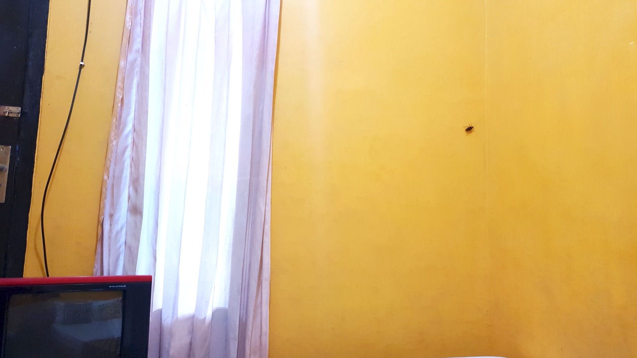 Photo of Bedroom in Banyuwangi