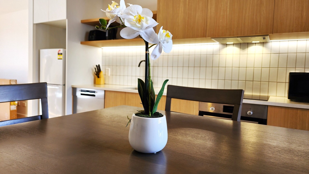 Photo of Kitchen in Paraparaumu
