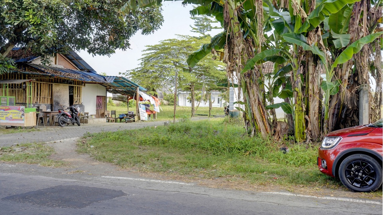 Photo of Outdoor in Banyuwangi