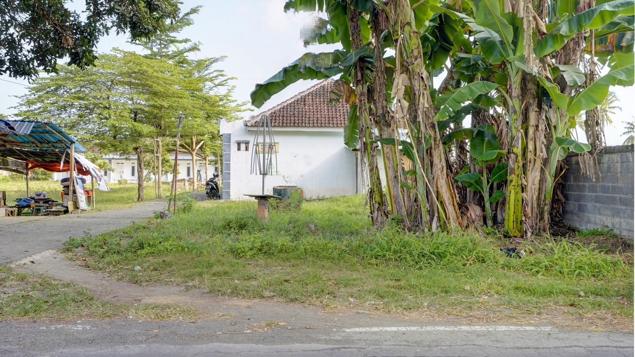 Photo of Outdoor in Banyuwangi