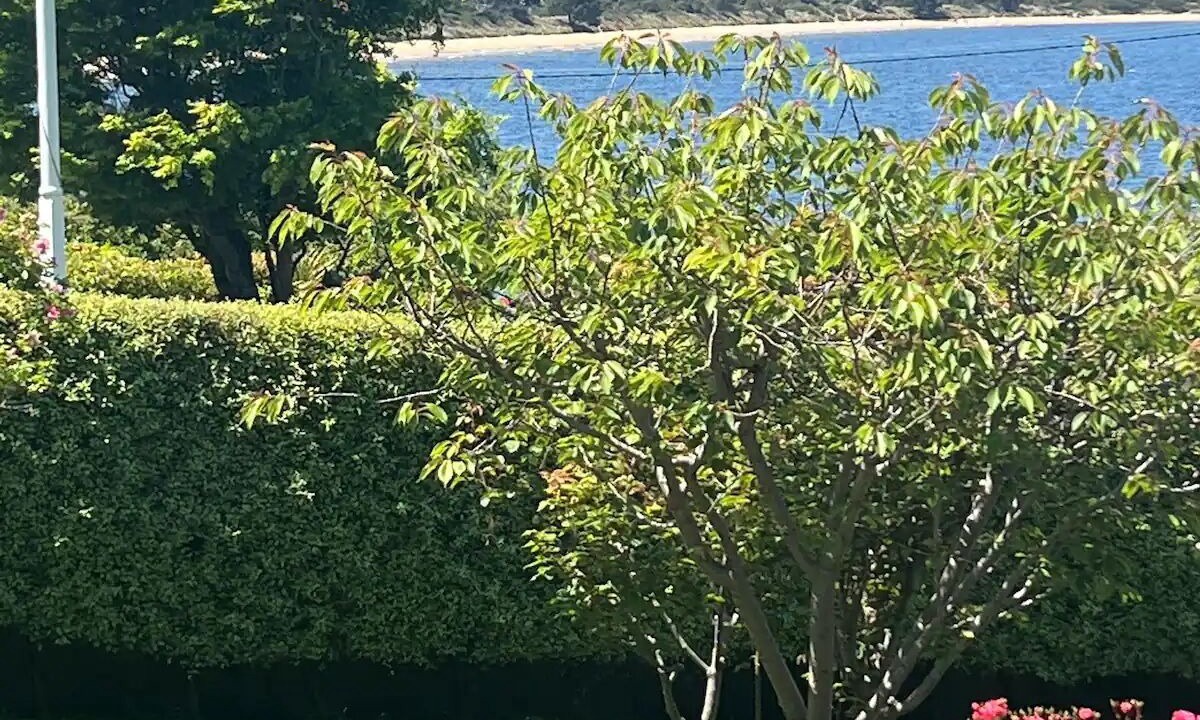 Photo of Outdoor in Bellerive
