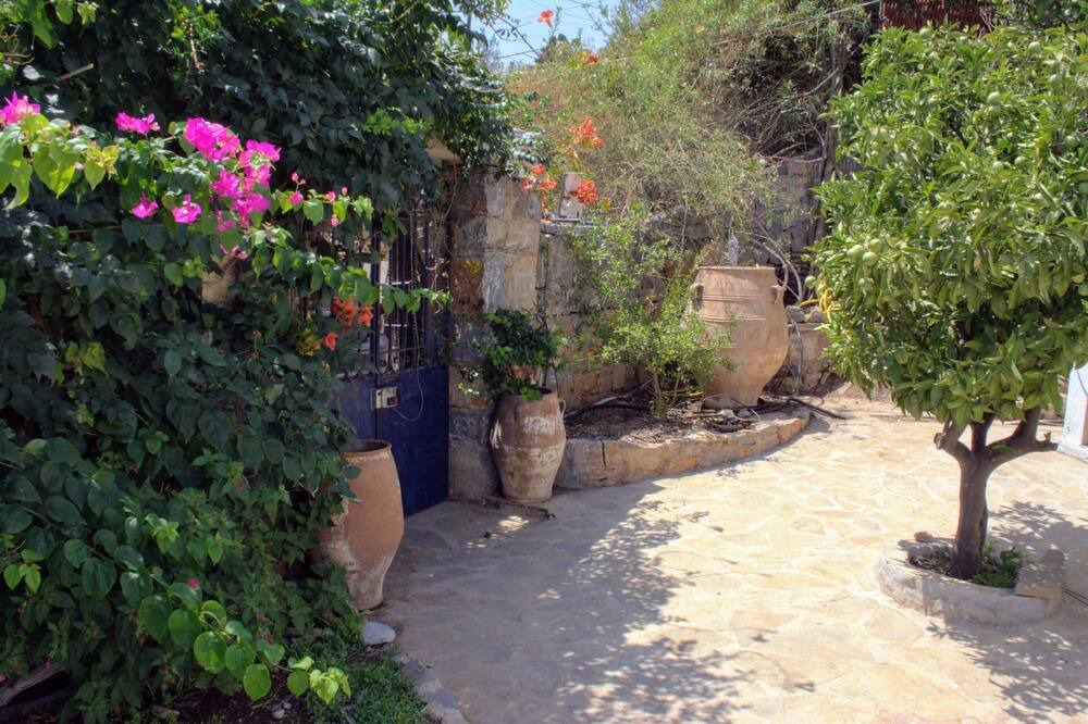 Photo of Outdoor in Katsikia