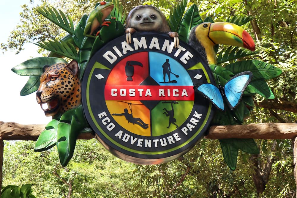 Photo of Others in Coco