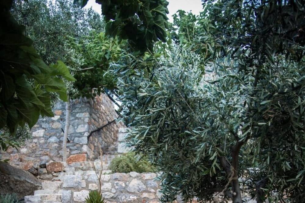 Photo of Outdoor in Phthiotis Region