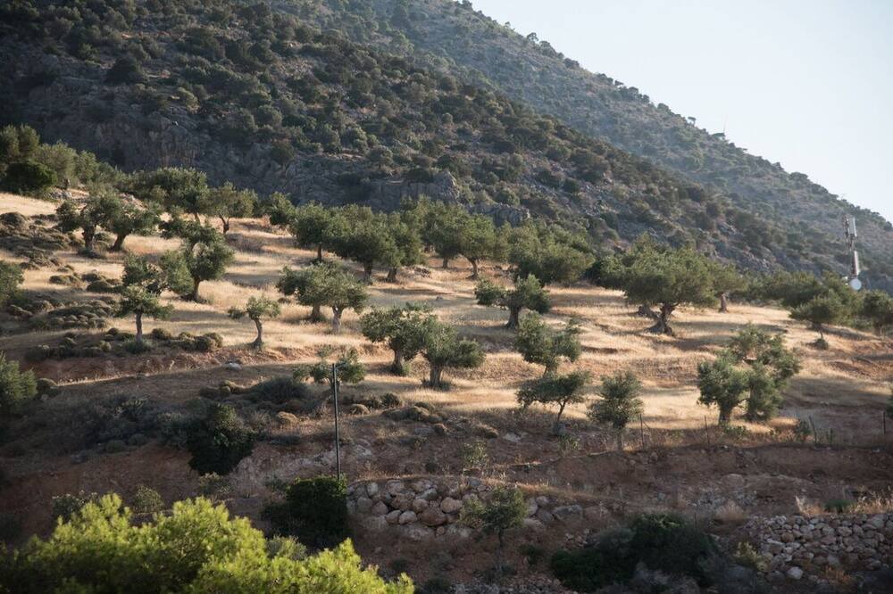 Photo of Outdoor in Phthiotis Region