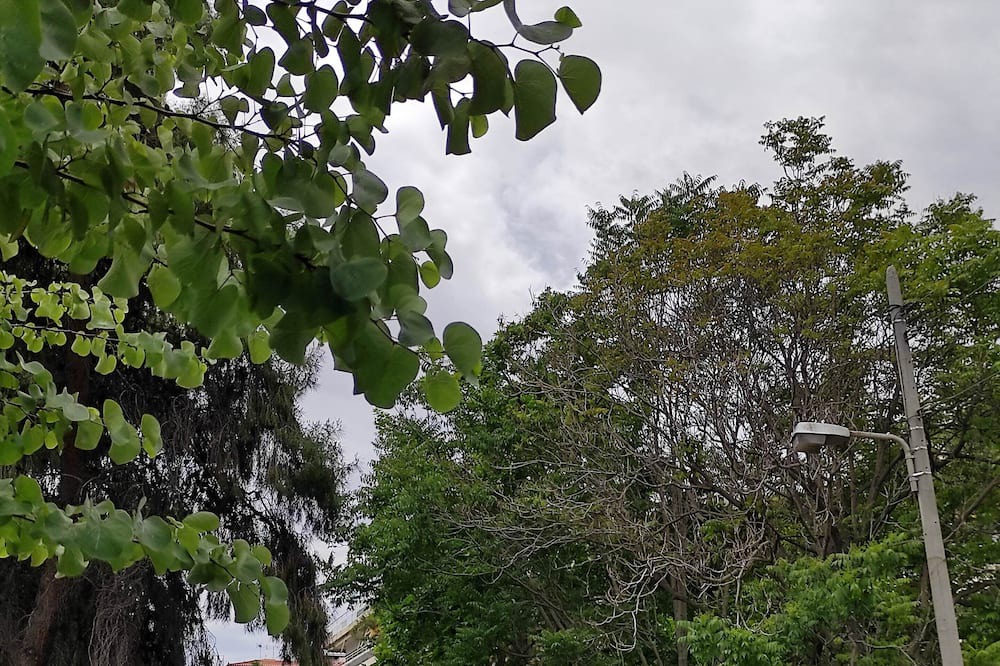 Photo of Outdoor in Ano Patisia