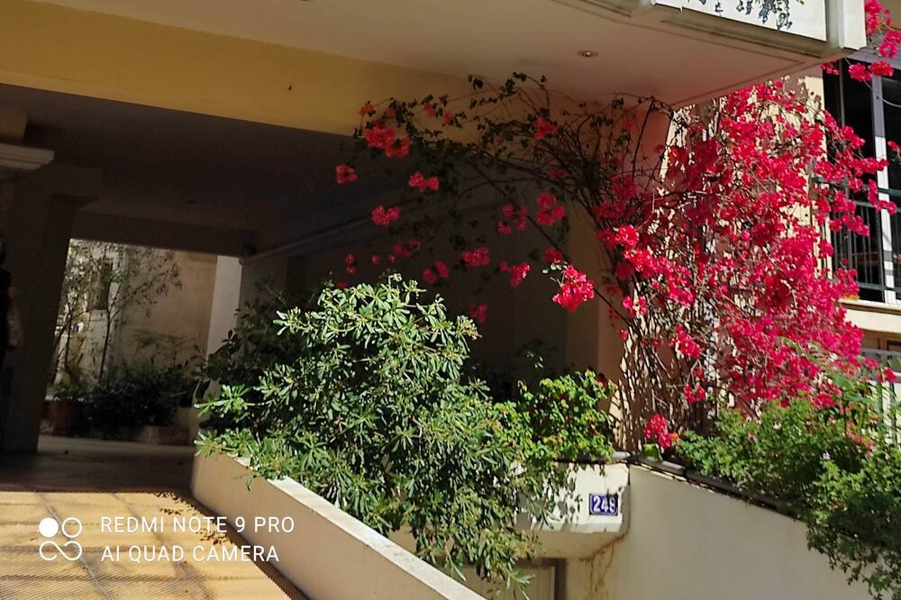 Photo of Outdoor in Ano Patisia