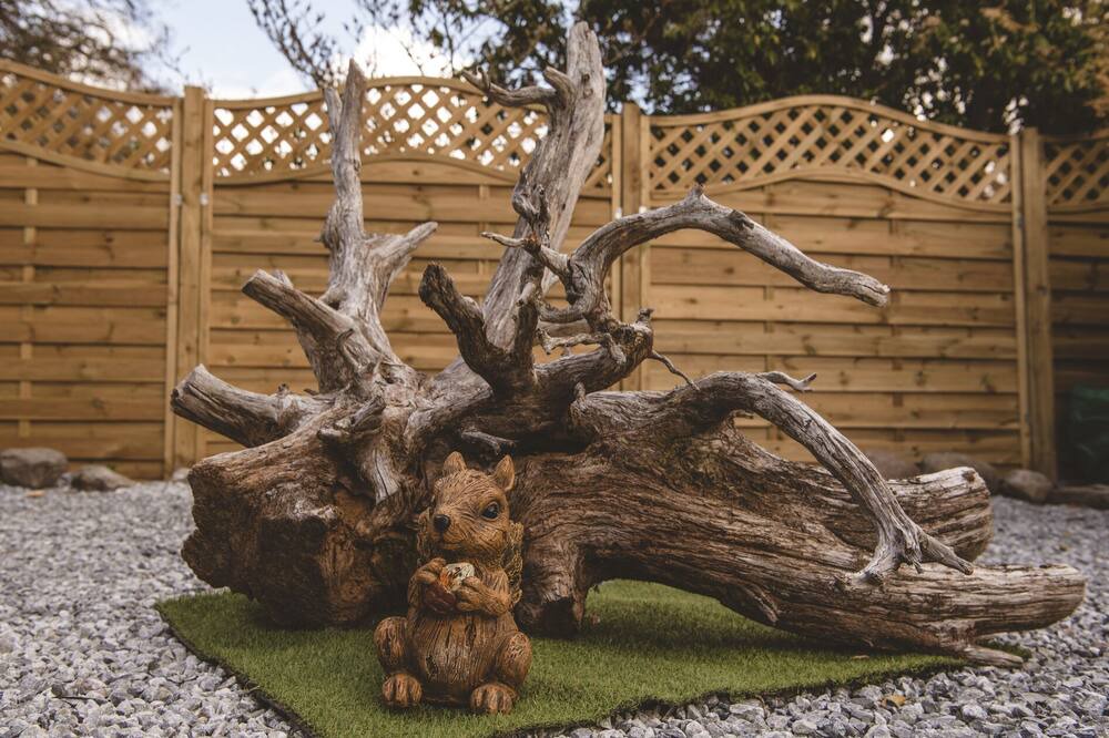 Photo of Outdoor in Roybridge