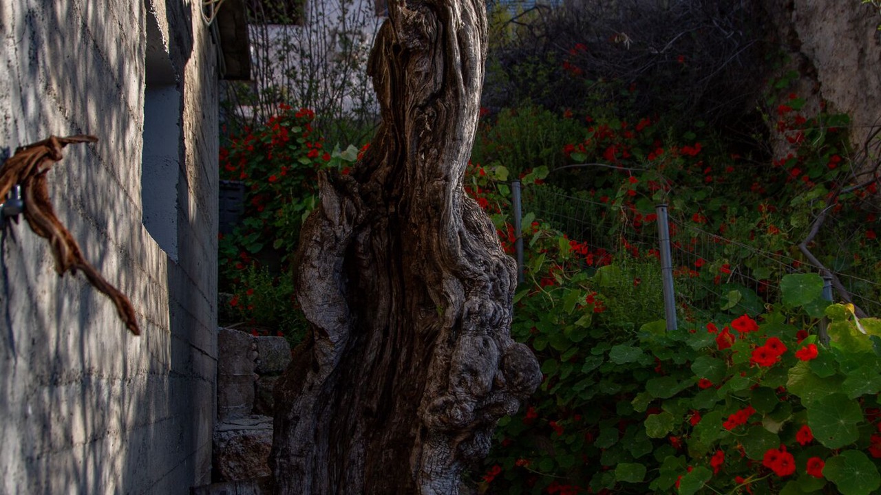 Photo of Outdoor in Leonidio
