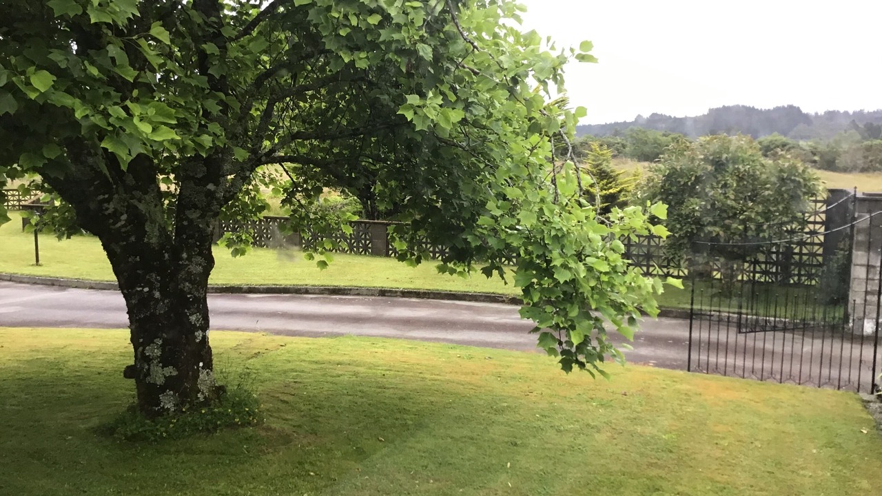 Photo of Bedroom in Hokitika