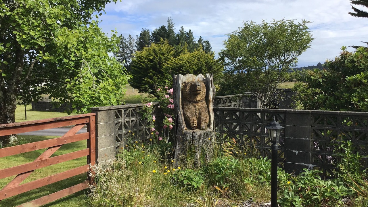 Photo of Outdoor in Hokitika
