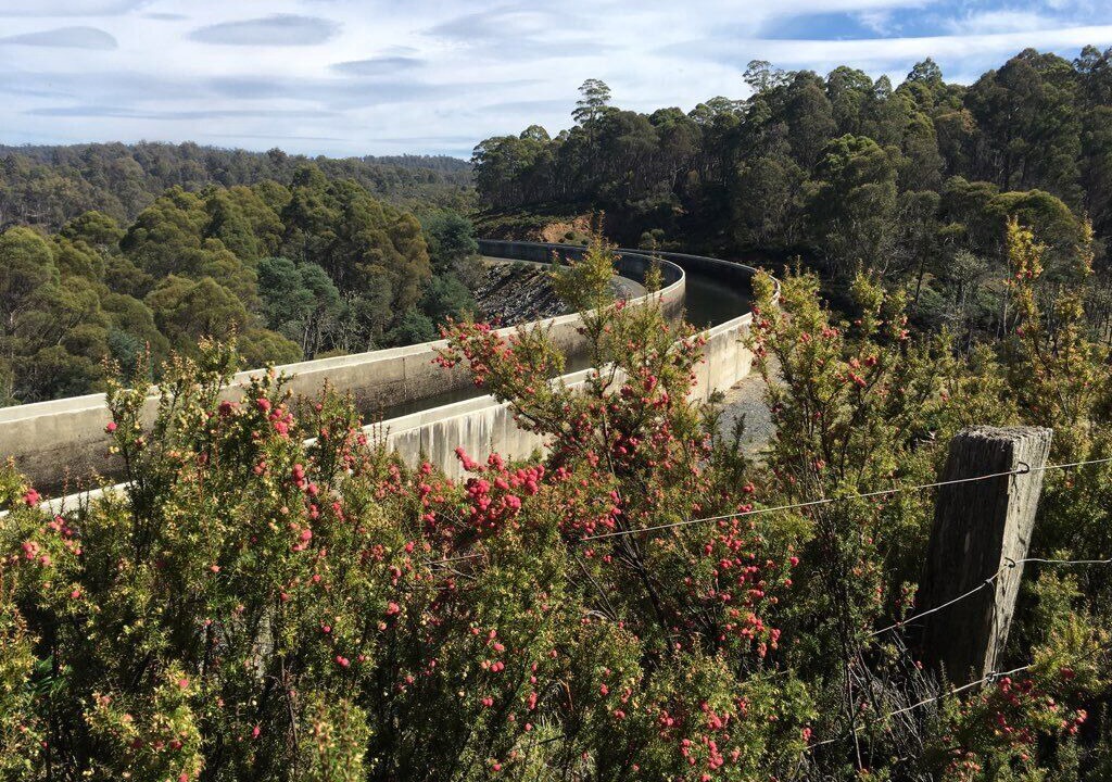 Photo of Outdoor in Bronte Park