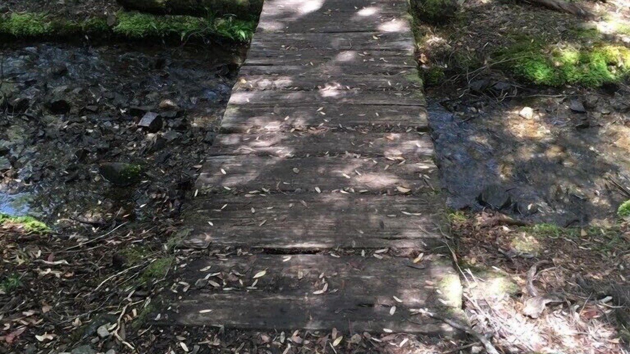 Photo of Outdoor in Bronte Park
