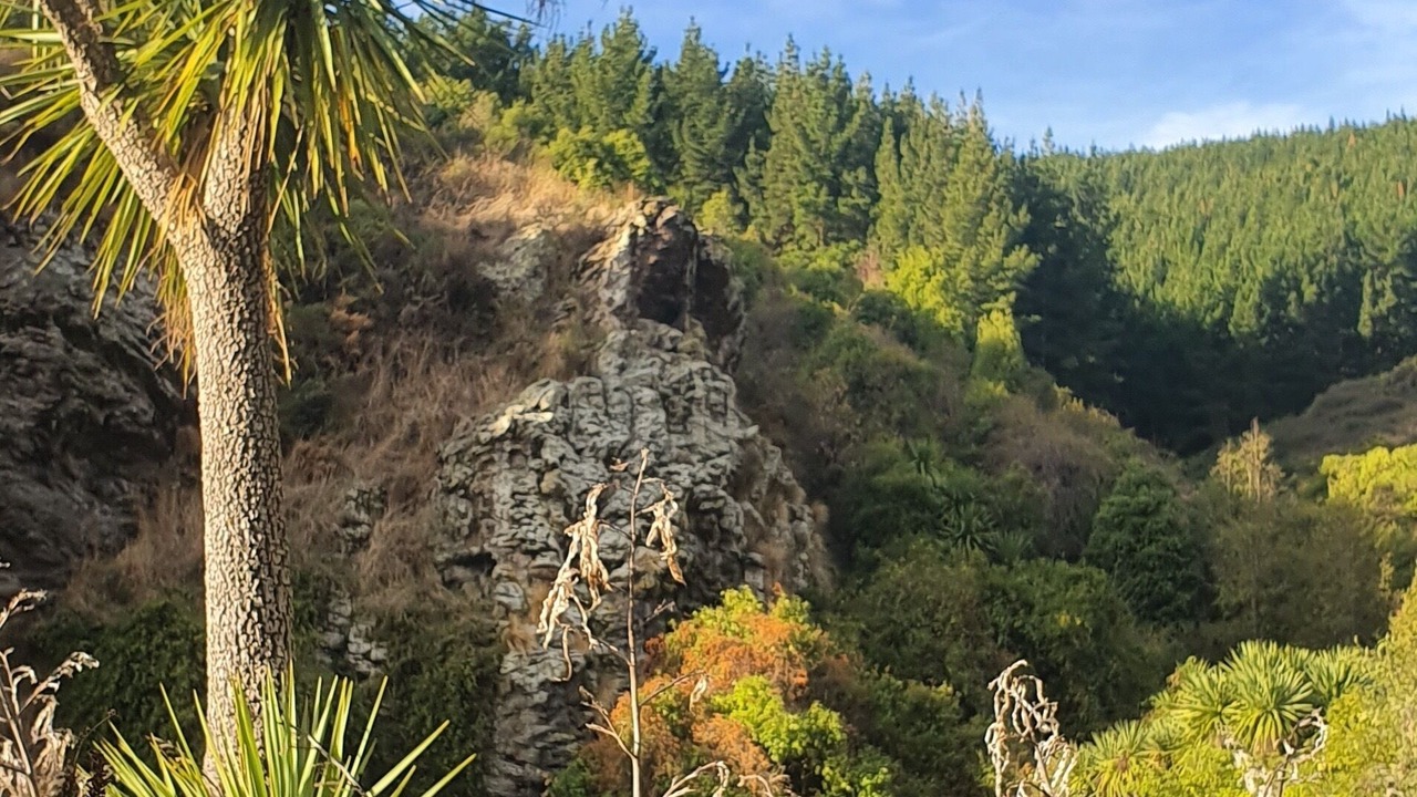 Photo of Outdoor in Tai Tapu