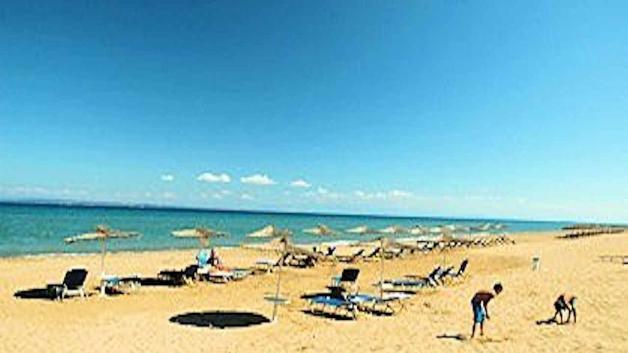 Photo of Others in Elia
