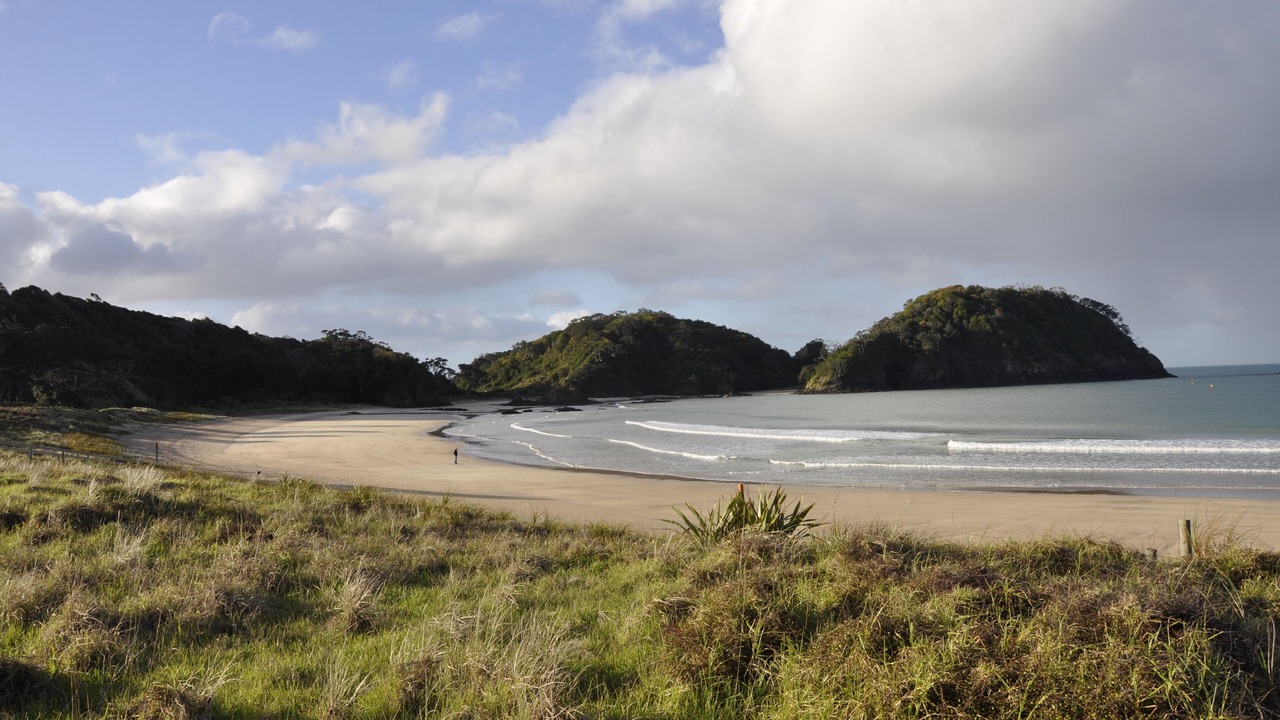 Photo of Others in Tutukaka