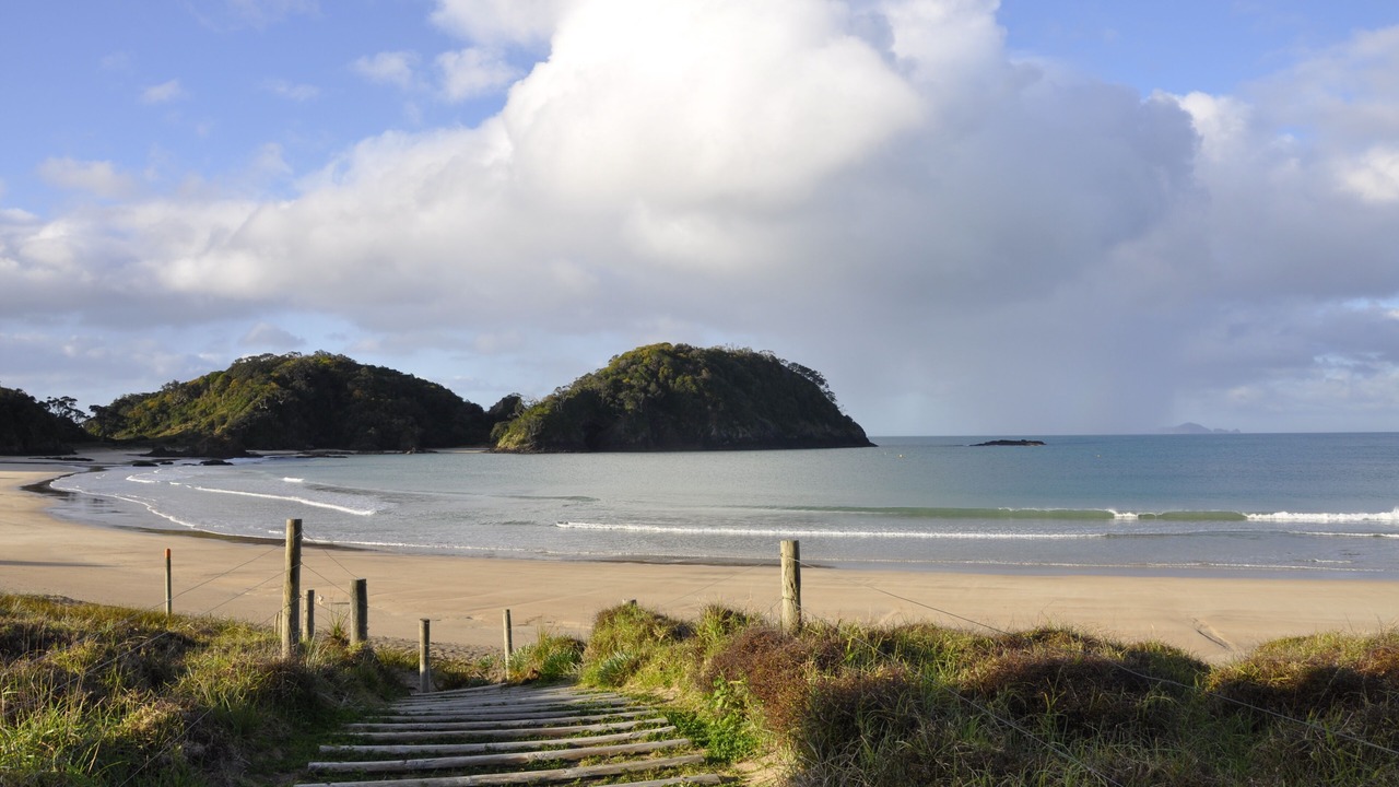Photo of Others in Tutukaka