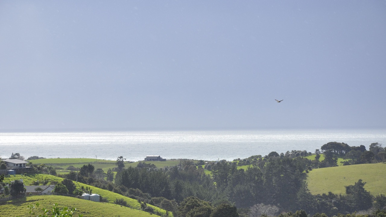 Photo of Outdoor in Tutukaka