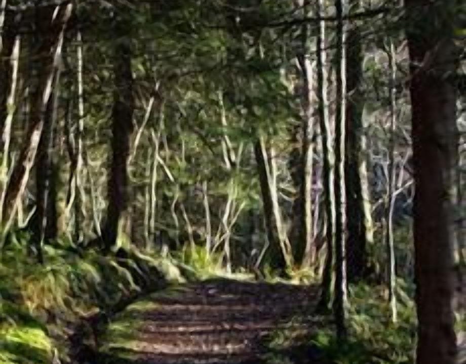 Photo of Outdoor in Glencoe