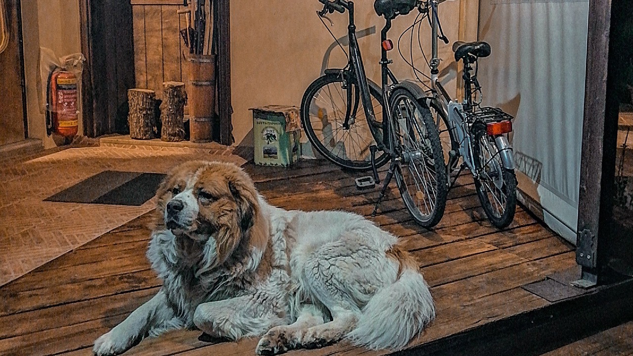 Photo of Bedroom in Kakalioraiika