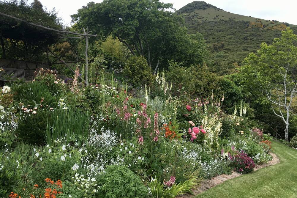 Photo of Outdoor in Dunedin