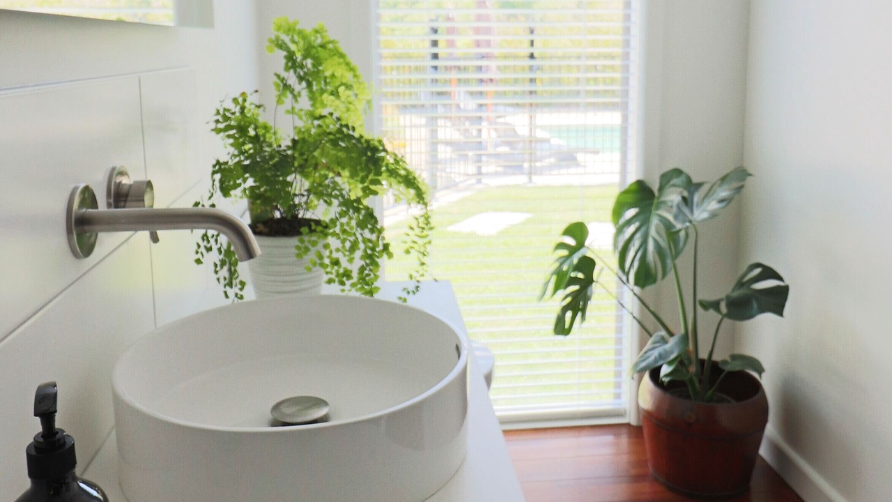 Photo of Others in Wakefield