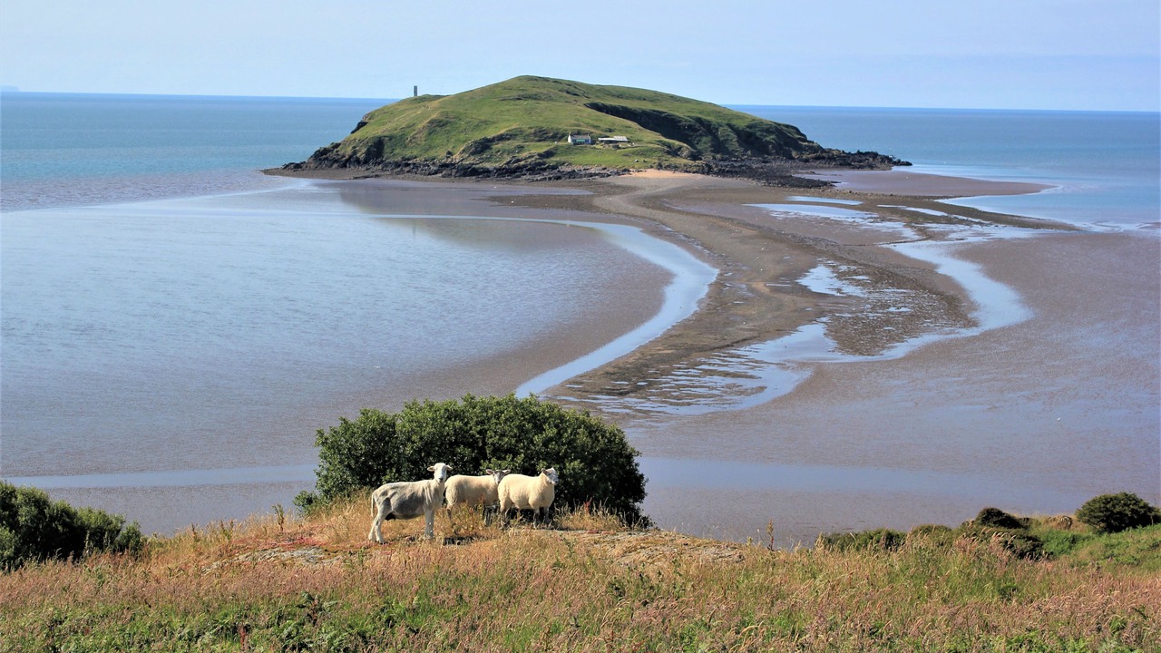 Photo of Others in Rockcliffe