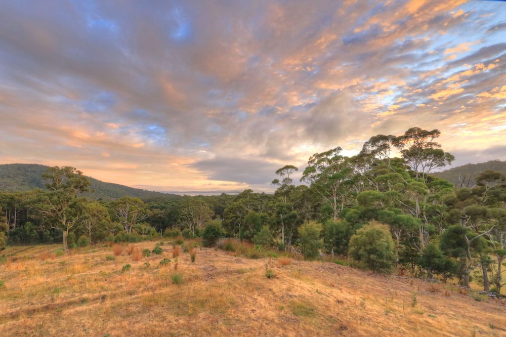 Photo of Outdoor in South Bruny