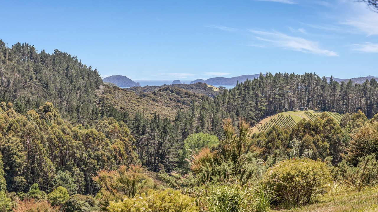 Photo of Outdoor in Russell