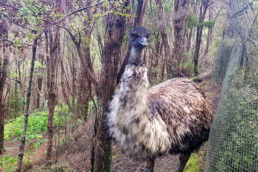 Photo of Outdoor in Waiomu