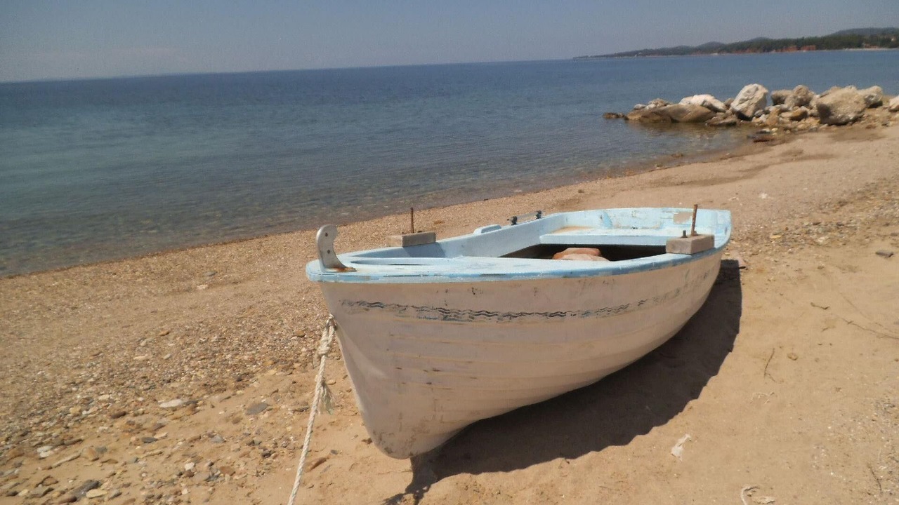 Photo of Others in Nikita