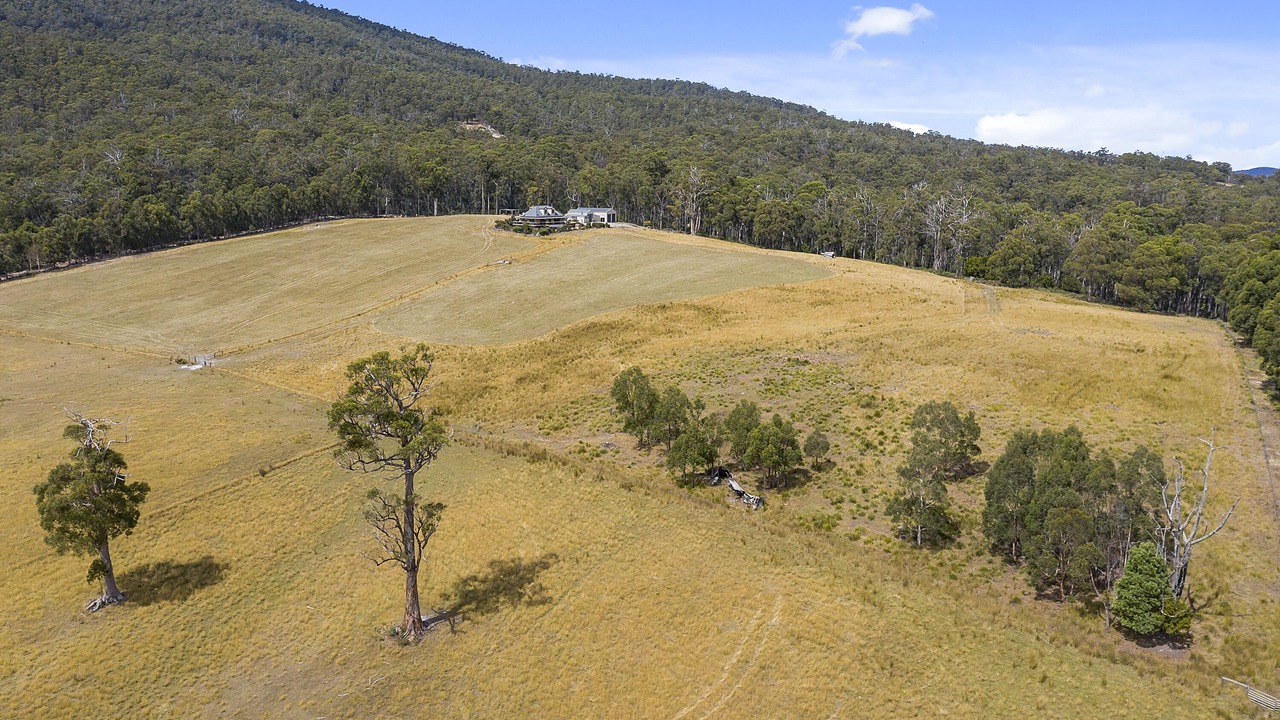 Photo of Outdoor in South Bruny
