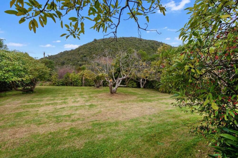 Photo of Outdoor in Waihau Bay