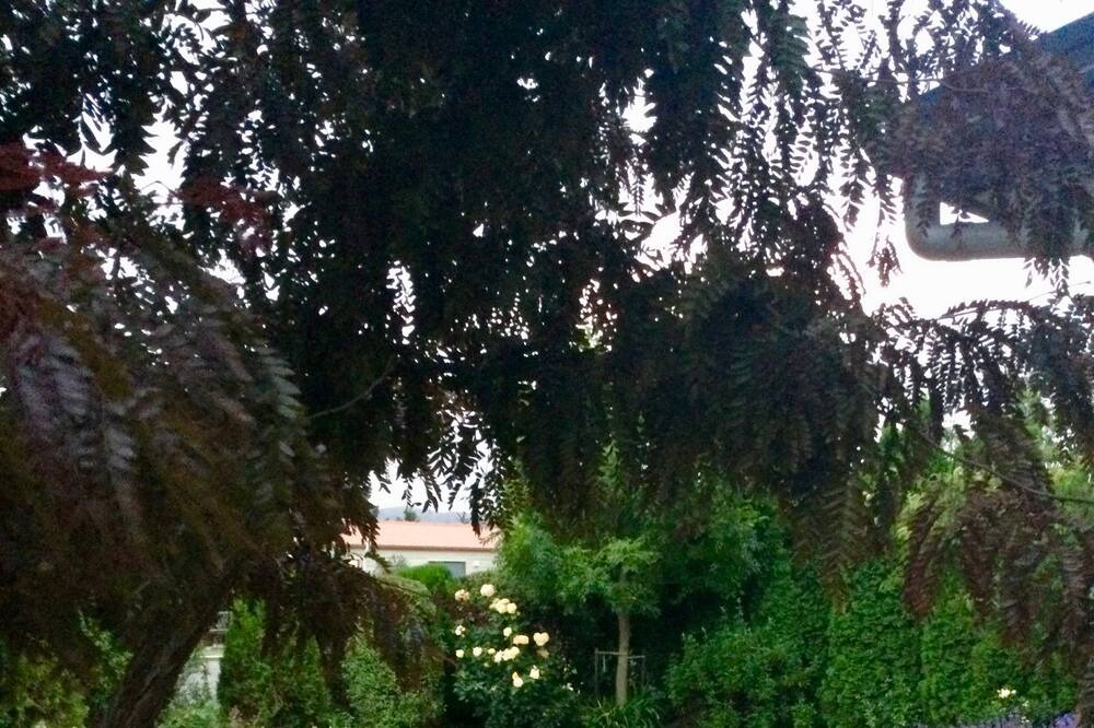 Photo of Outdoor in Kurow