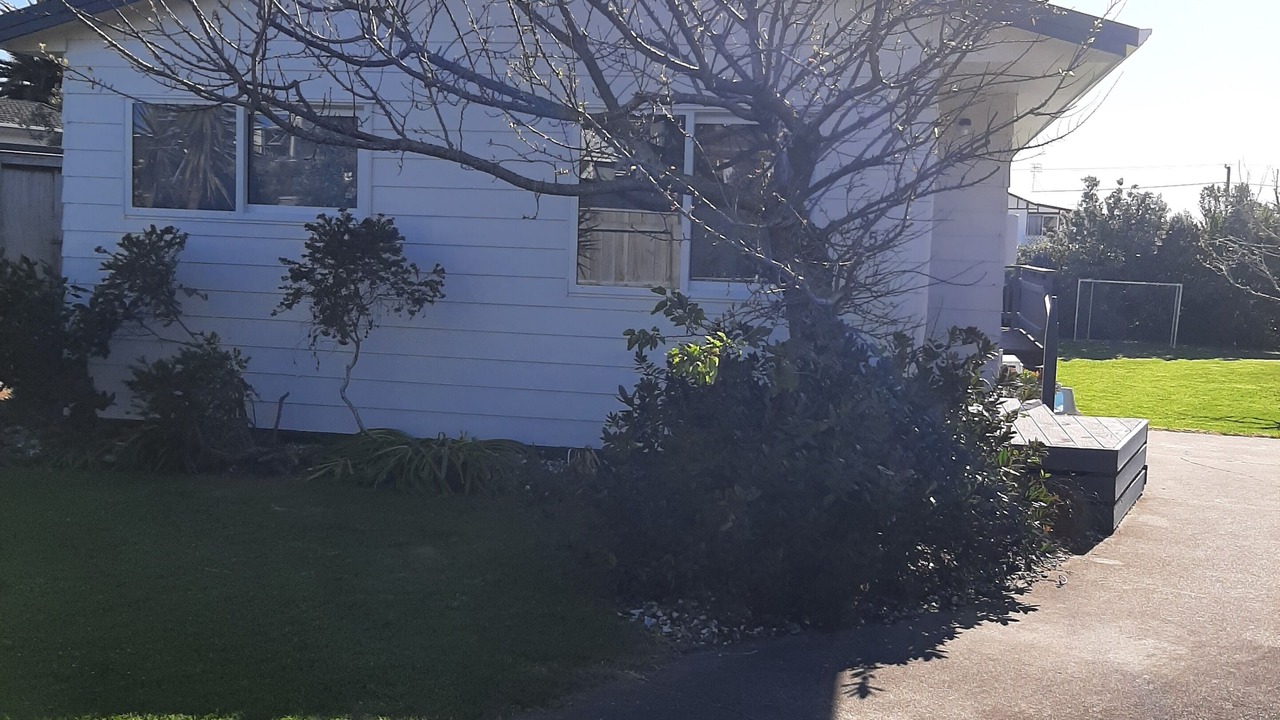 Photo of Outdoor in Waitarere Beach
