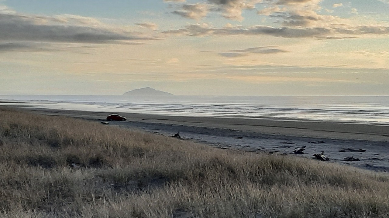 Photo of Others in Waitarere Beach