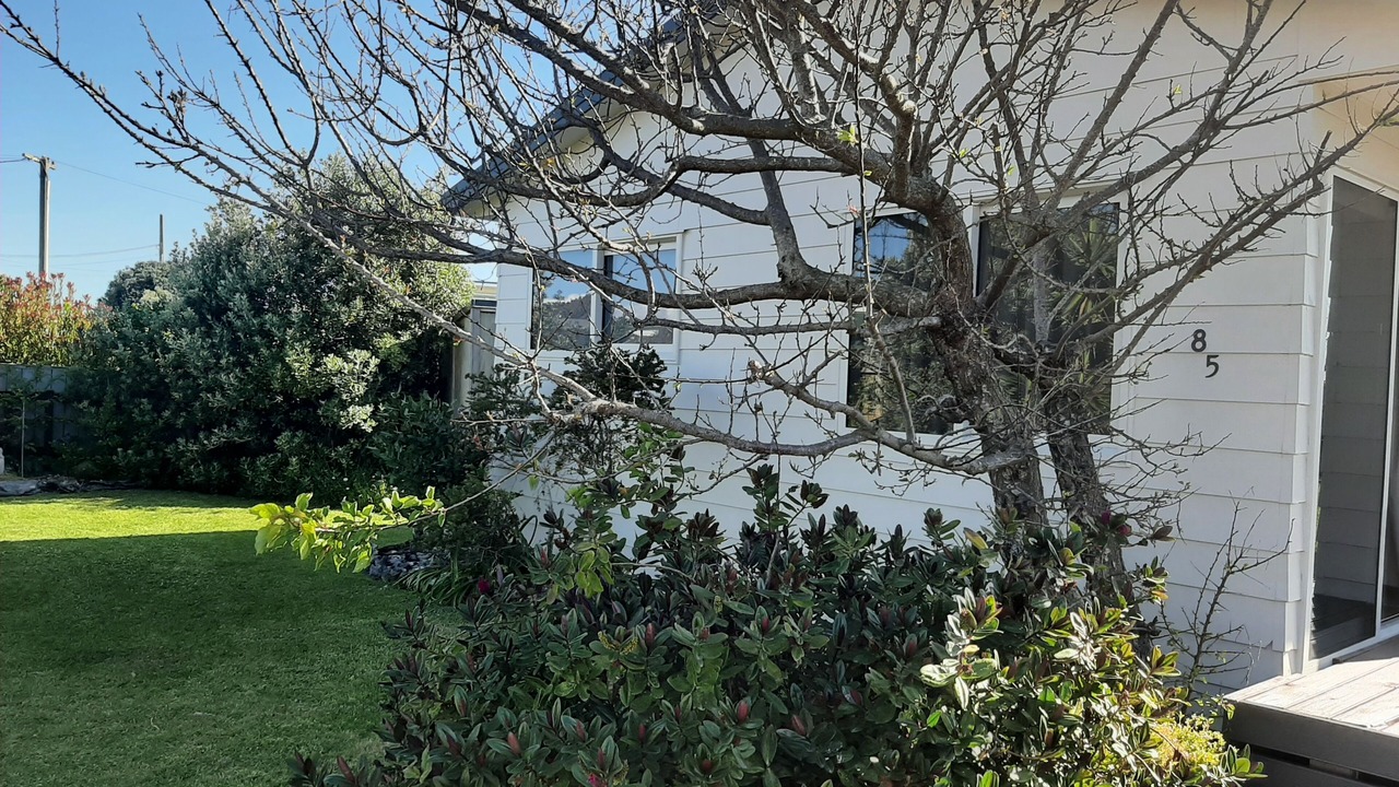 Photo of Outdoor in Waitarere Beach