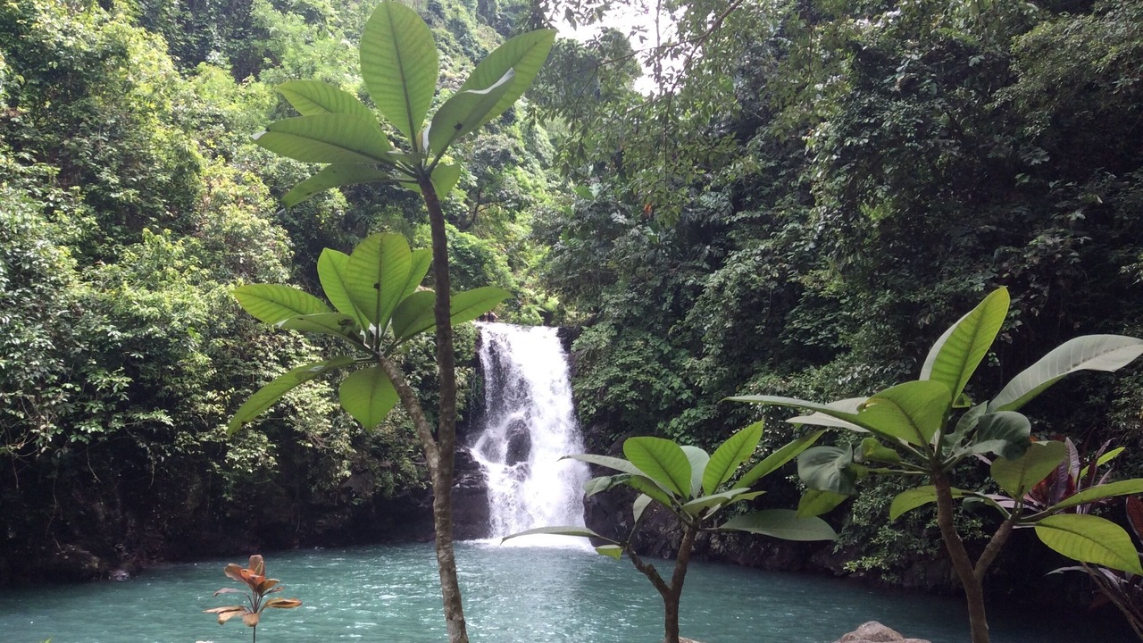 Photo of Outdoor in Sukasada