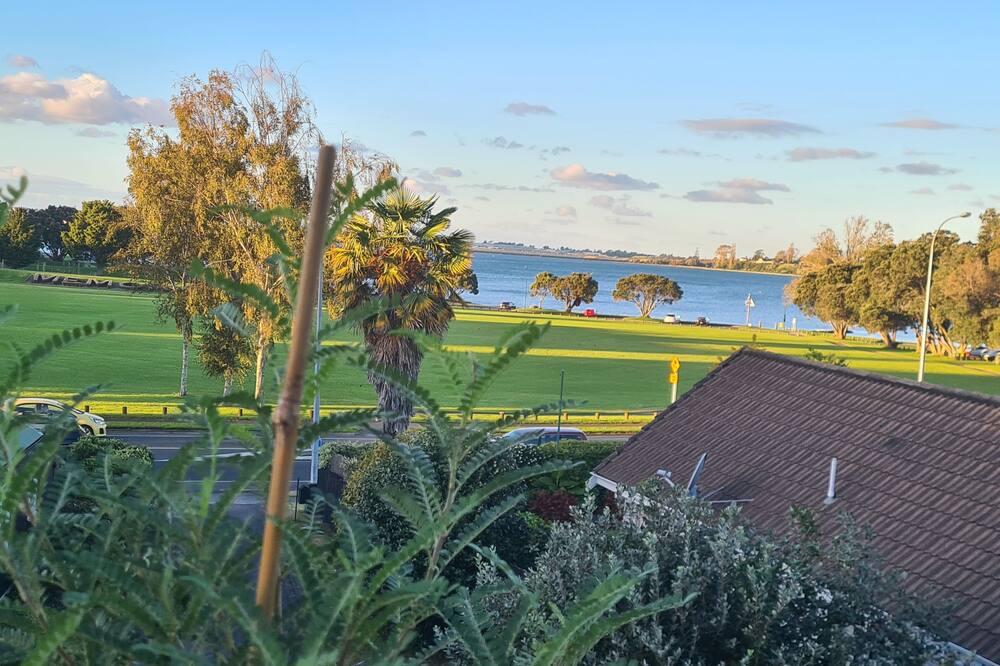 Photo of Others in Tauranga South