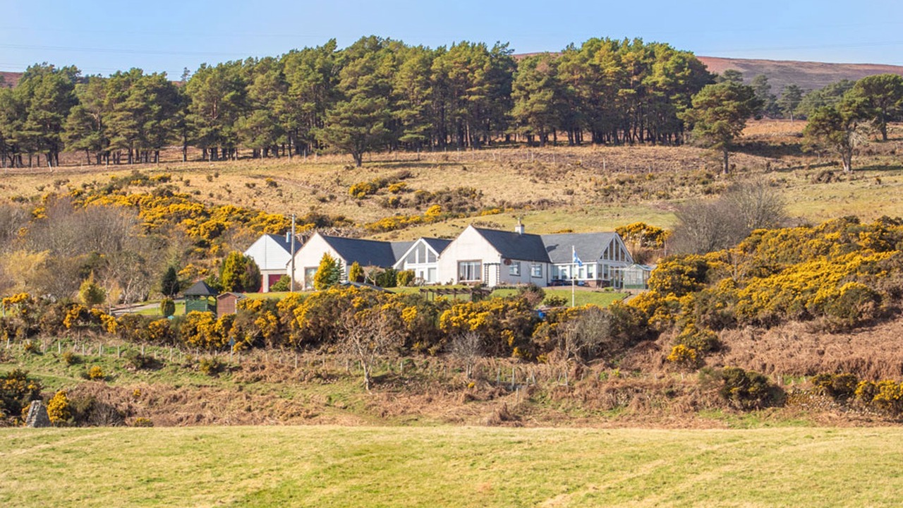 Photo of Outdoor in Brora