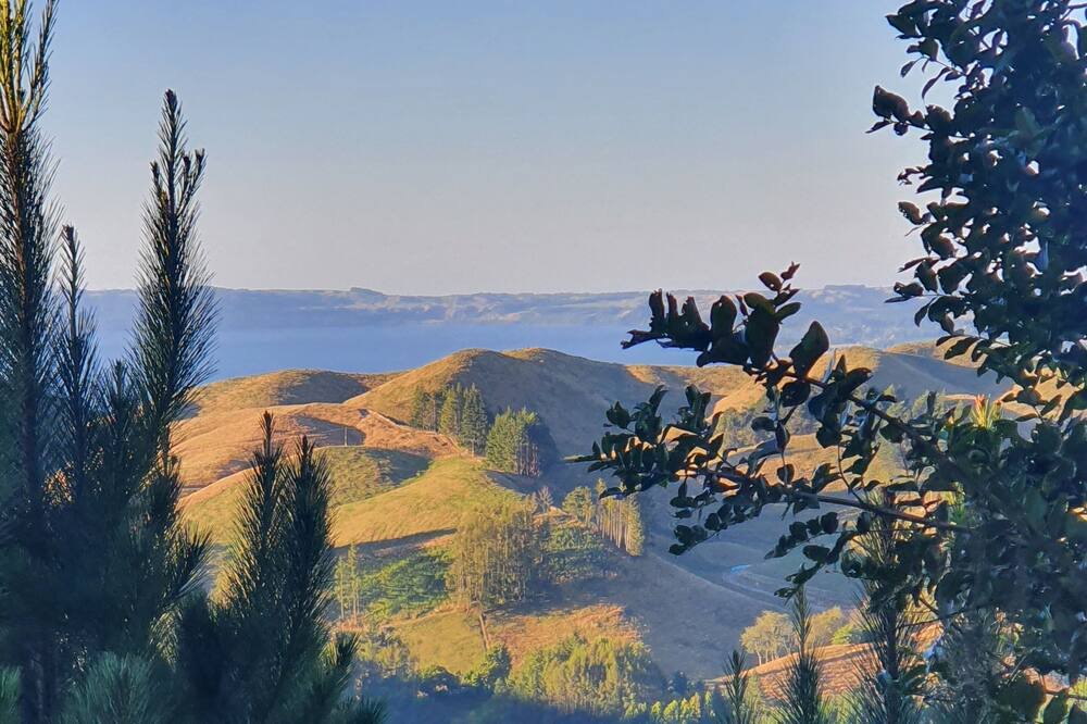 Photo of Outdoor in Rotorua