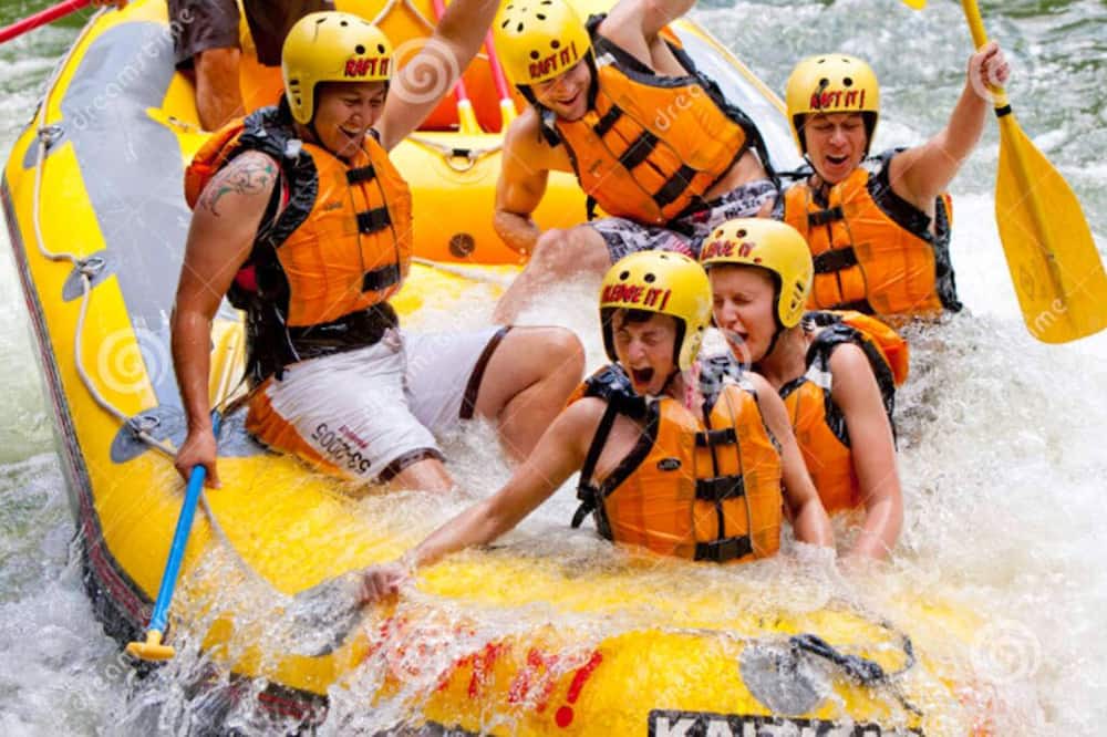 Photo of Others in Rotorua