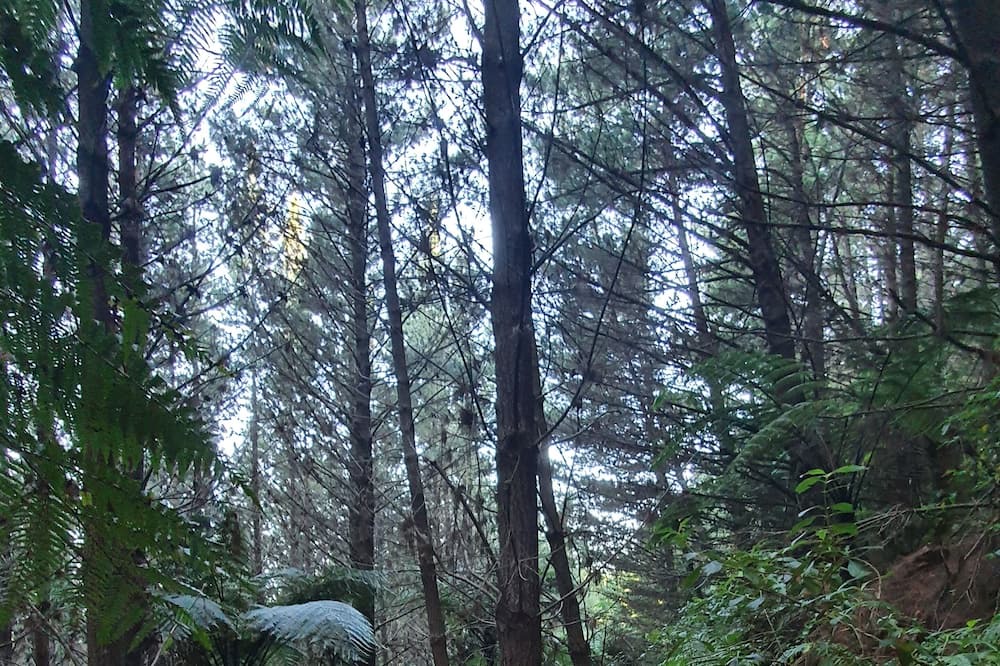 Photo of Outdoor in Rotorua