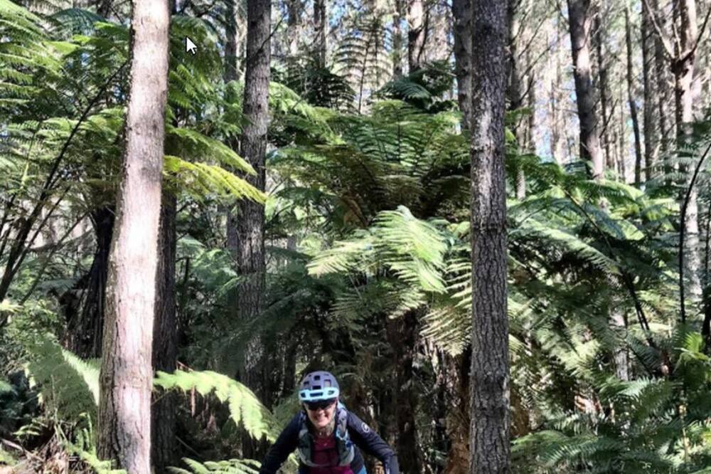 Photo of Others in Rotorua