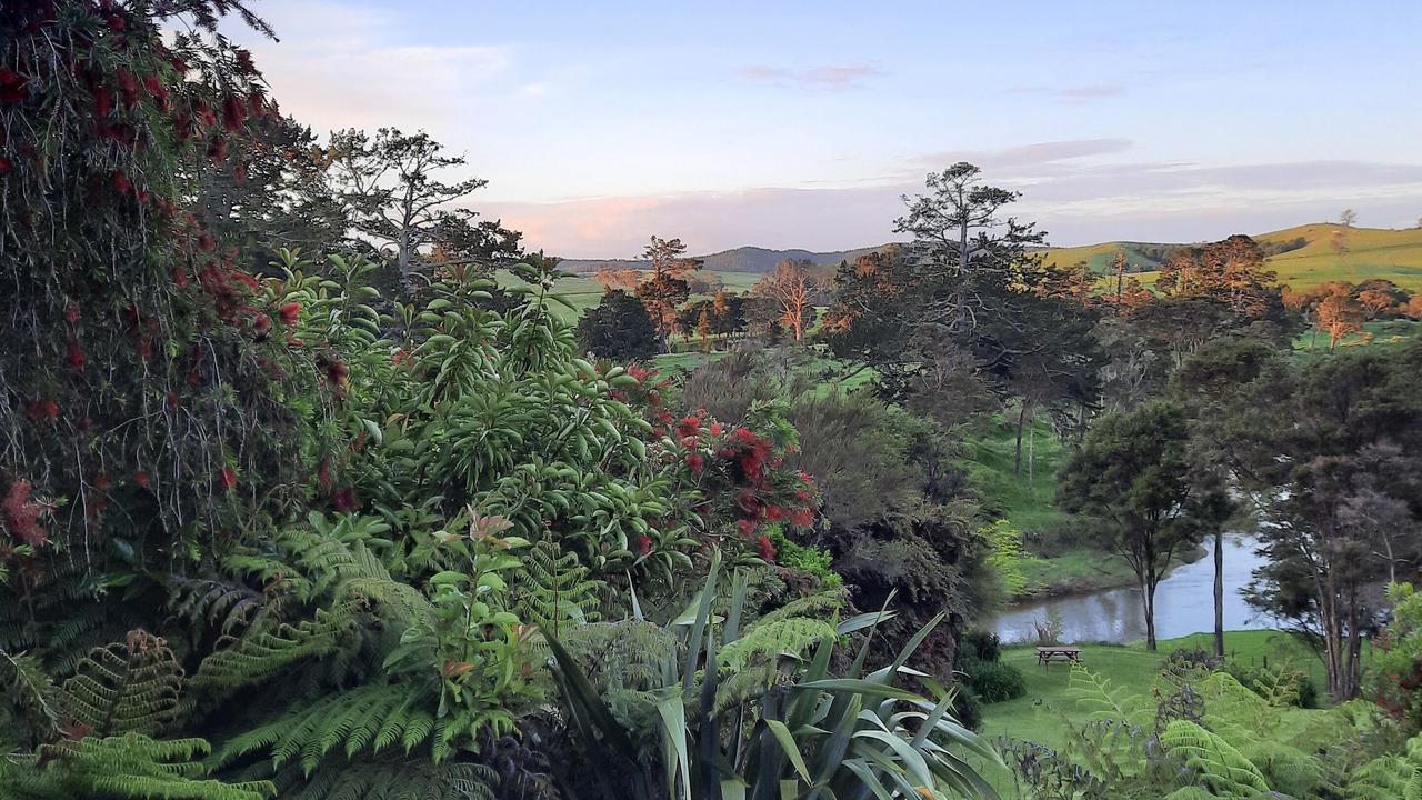 Photo of Bedroom in Paihia