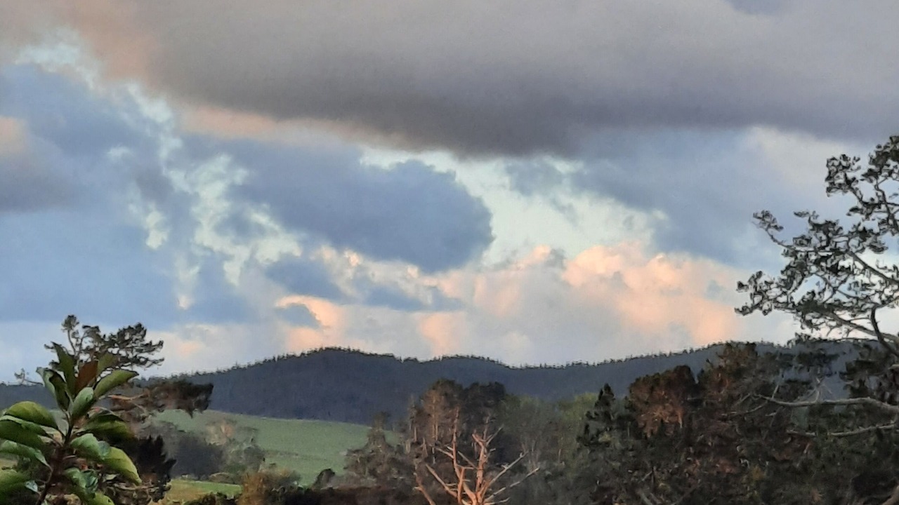 Photo of Outdoor in Paihia