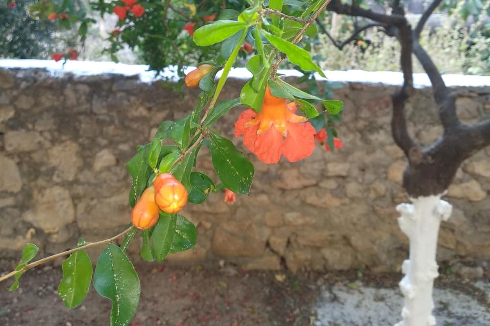 Photo of Outdoor in Kiparissia