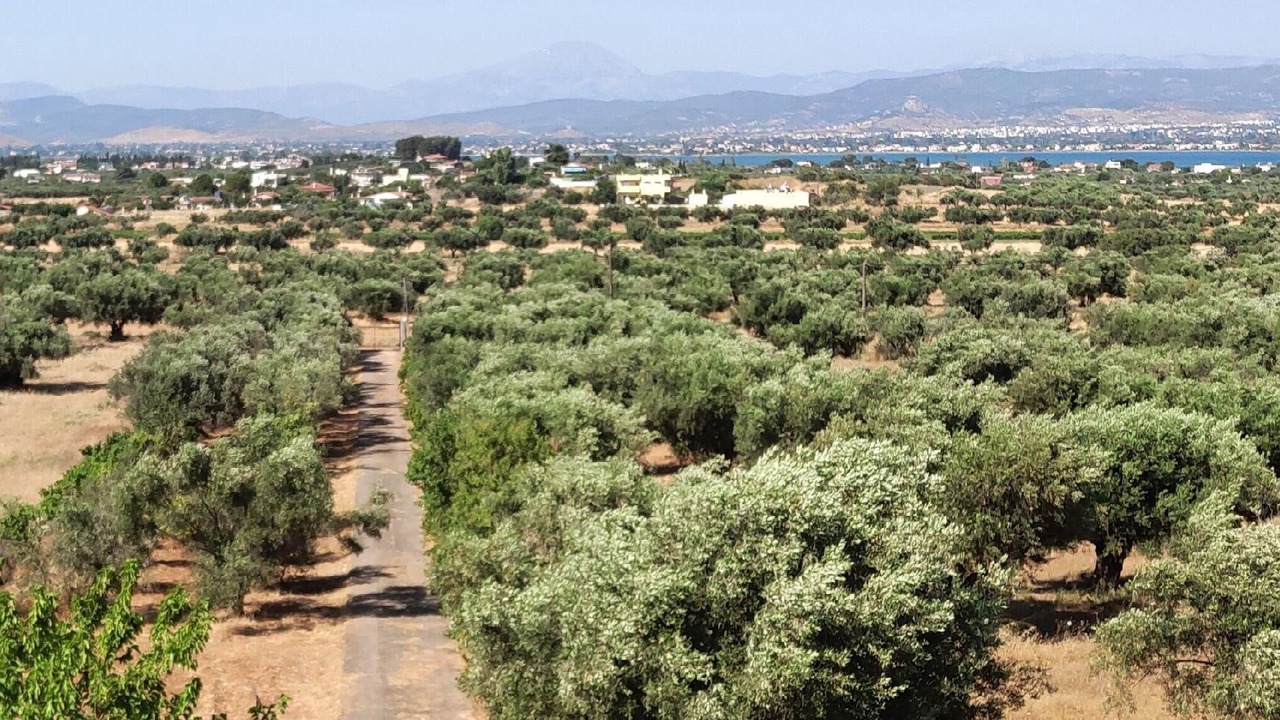 Photo of Outdoor in Chalcis