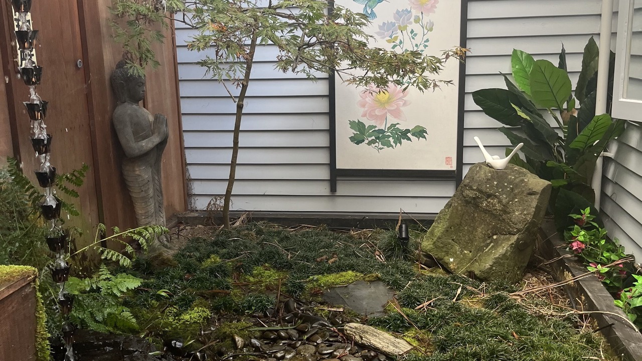 Photo of Outdoor in Mount Eden